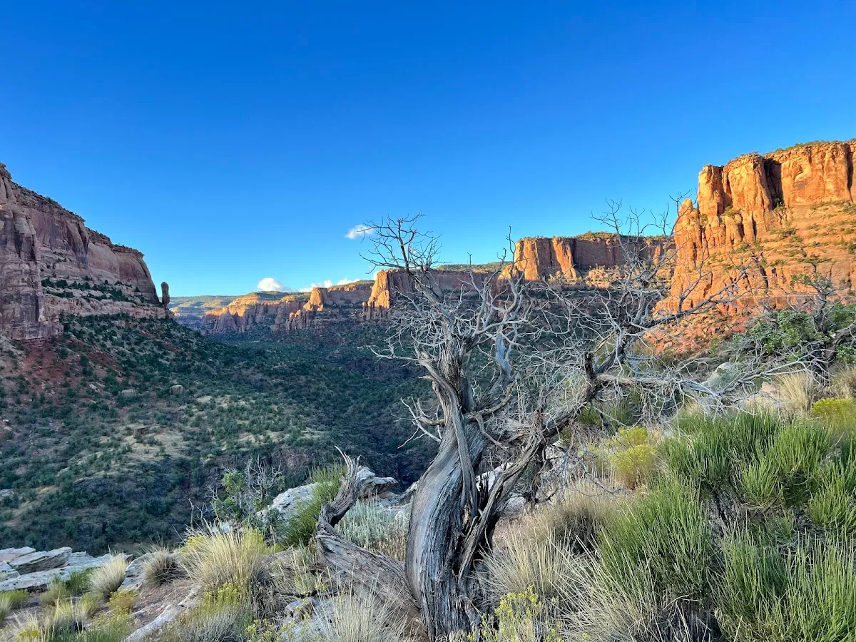 Devil's Canyon Trail System | Colorado Western Slope | The Slope